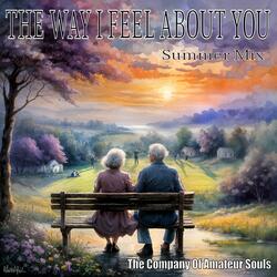 The Way I Feel About You (Summer mix)