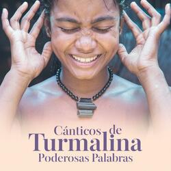 Cánticos de Turmalina: Protección Energética y Sanación