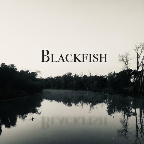 Blackfish