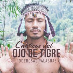 Cánticos del Ojo de Tigre: Energía Protectora, Confianza