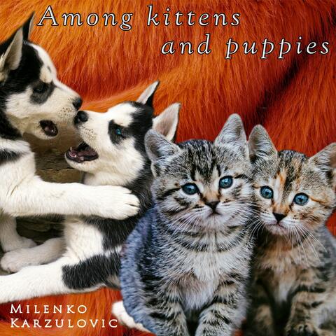 Among kittens and puppies (Instrumental)