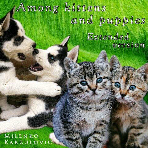 Among kittens and puppies (Extended version)