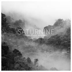 Saturnine