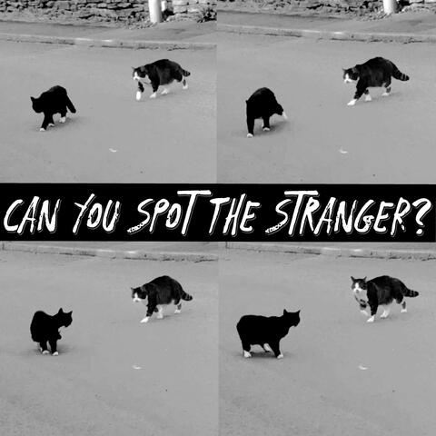 Can You Spot the Stranger?
