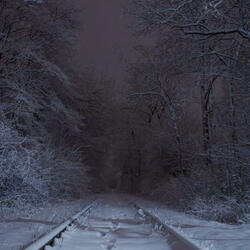 Um Coração Despedaçado