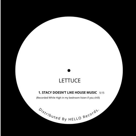 STACY DOESN'T LIKE HOUSE MUSIC