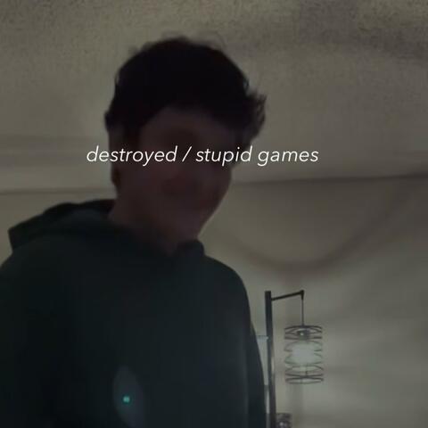 destroyed / stupid games