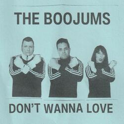 Don't Wanna Love