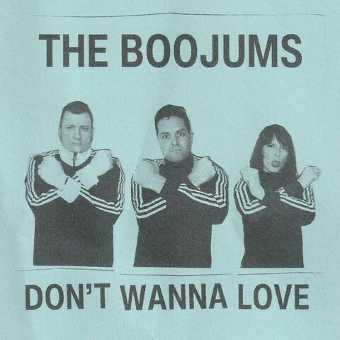 Don't Wanna Love