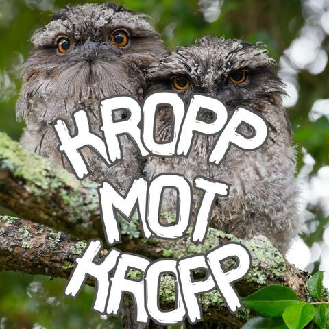 KROPP MOT KROPP