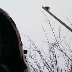 NO TIME (feat. Isthatfr0st, Mir Blackwell, Lazzlo1k, Rap-Roasted & Tr3dawggg)