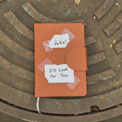 I'll Look For You