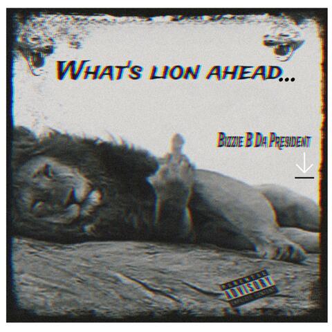 What's Lion Ahead...