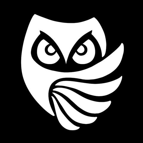 Owl eyes