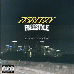 713REEZY  (FREESTYLE)