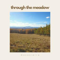 Through the Meadow