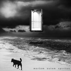 You're Ugly and I'm Ugly Too