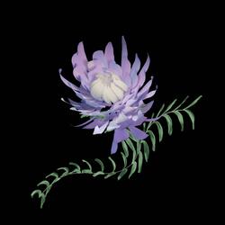 Something to Believe