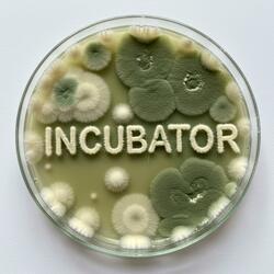 サイエンスバーおじさん