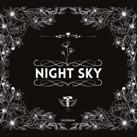 night sky