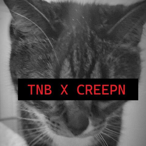 BRR BRR BITCH (creepn flip)