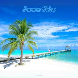 Summer Skies (Radio Edit)