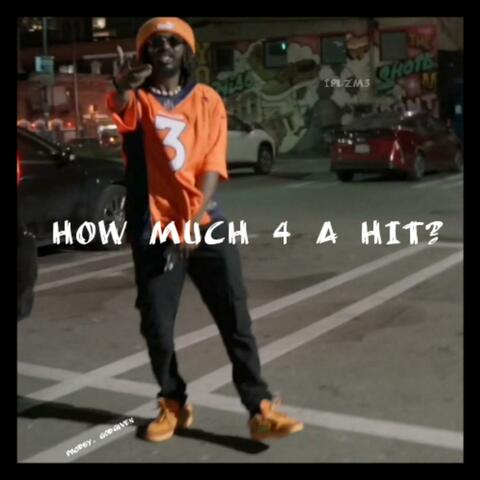 HOW MUCH 4 A HIT?