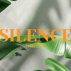 Afro Guitar x Afro Beat instrumental" SILENCE"