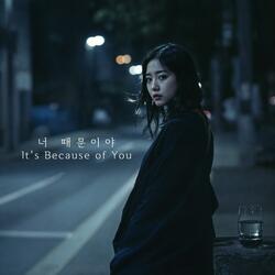 너 때문이야 (It's Because of You)