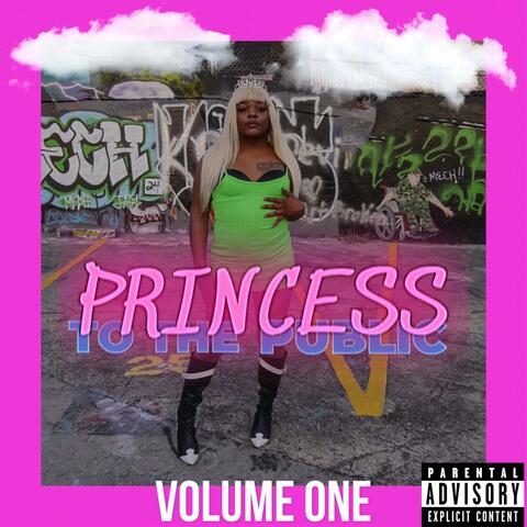 Princess To The Public: Volume One