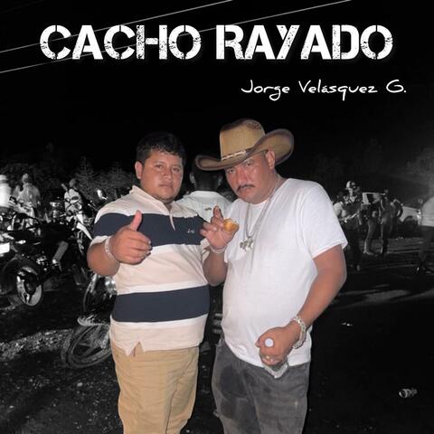 CACHO RAYADO