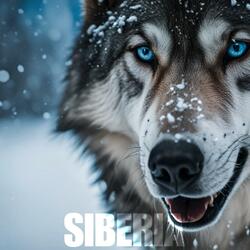 SIBERIA