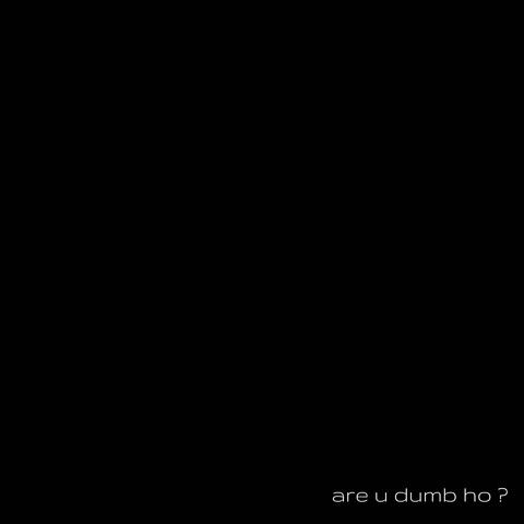 are u dumb ho ?