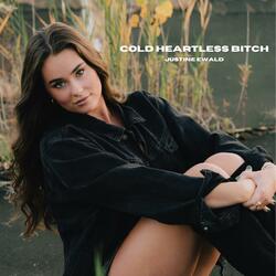 Cold Heartless Bitch