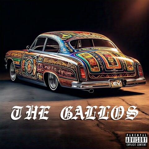 The Gallos