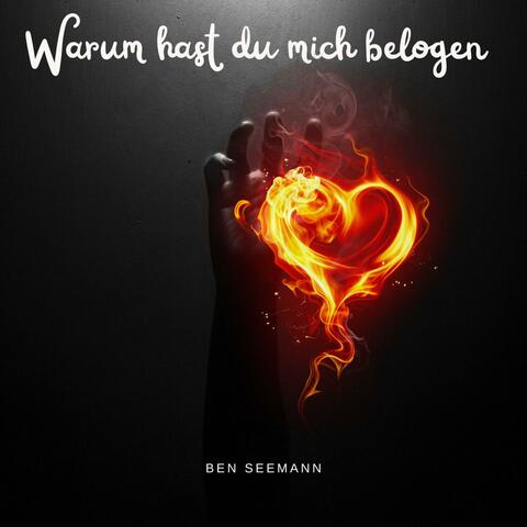 Warum hast du mich belogen