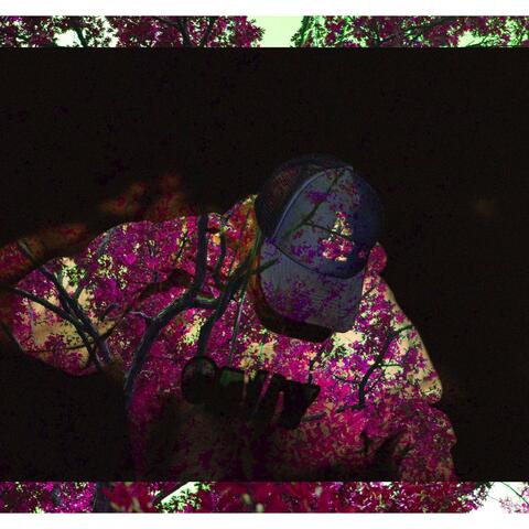 Numb Feeling