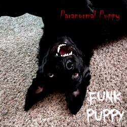 Paranormal Puppy