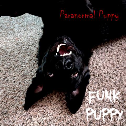Paranormal Puppy