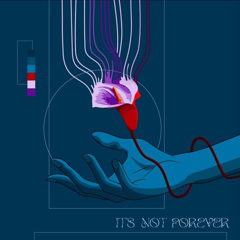 It's Not Forever