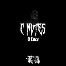 C notes