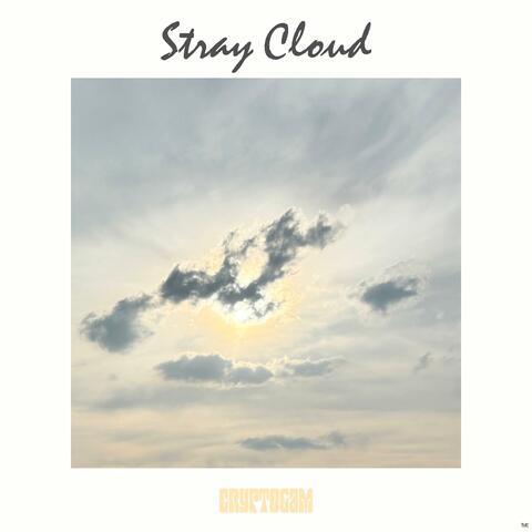 Stray Cloud