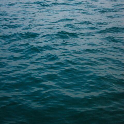 Looking at the Ocean