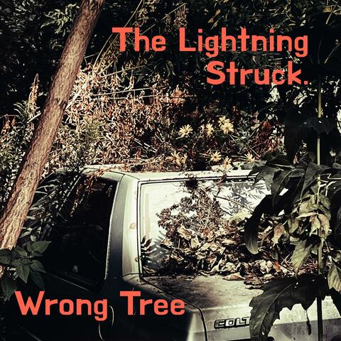 Wrong Tree