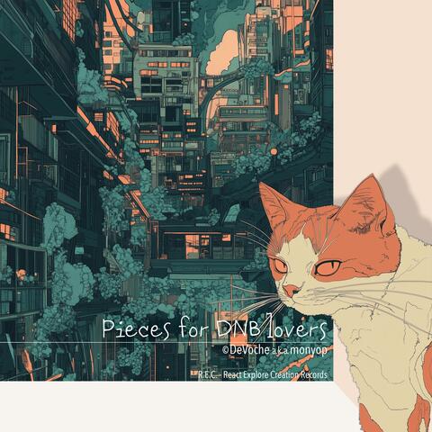 Pieces for DNB lovers EP