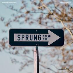 Sprung (feat. Malay)