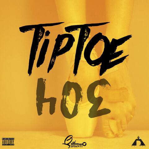 TipToe 304