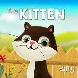 Kitten
