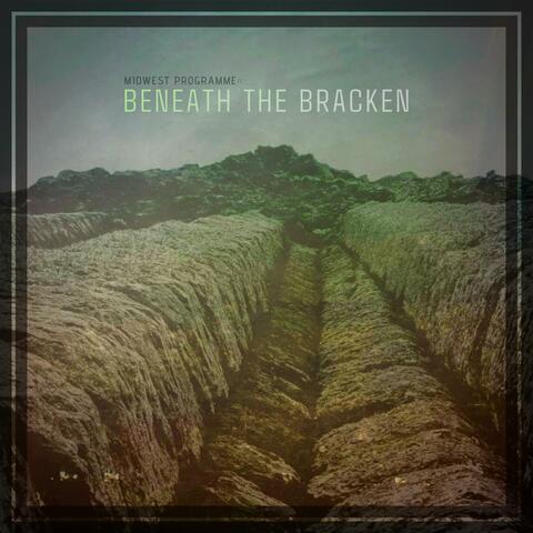 Beneath The Bracken