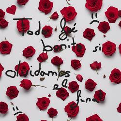 Todo Fué Bonito si Olvidamos el Final :(